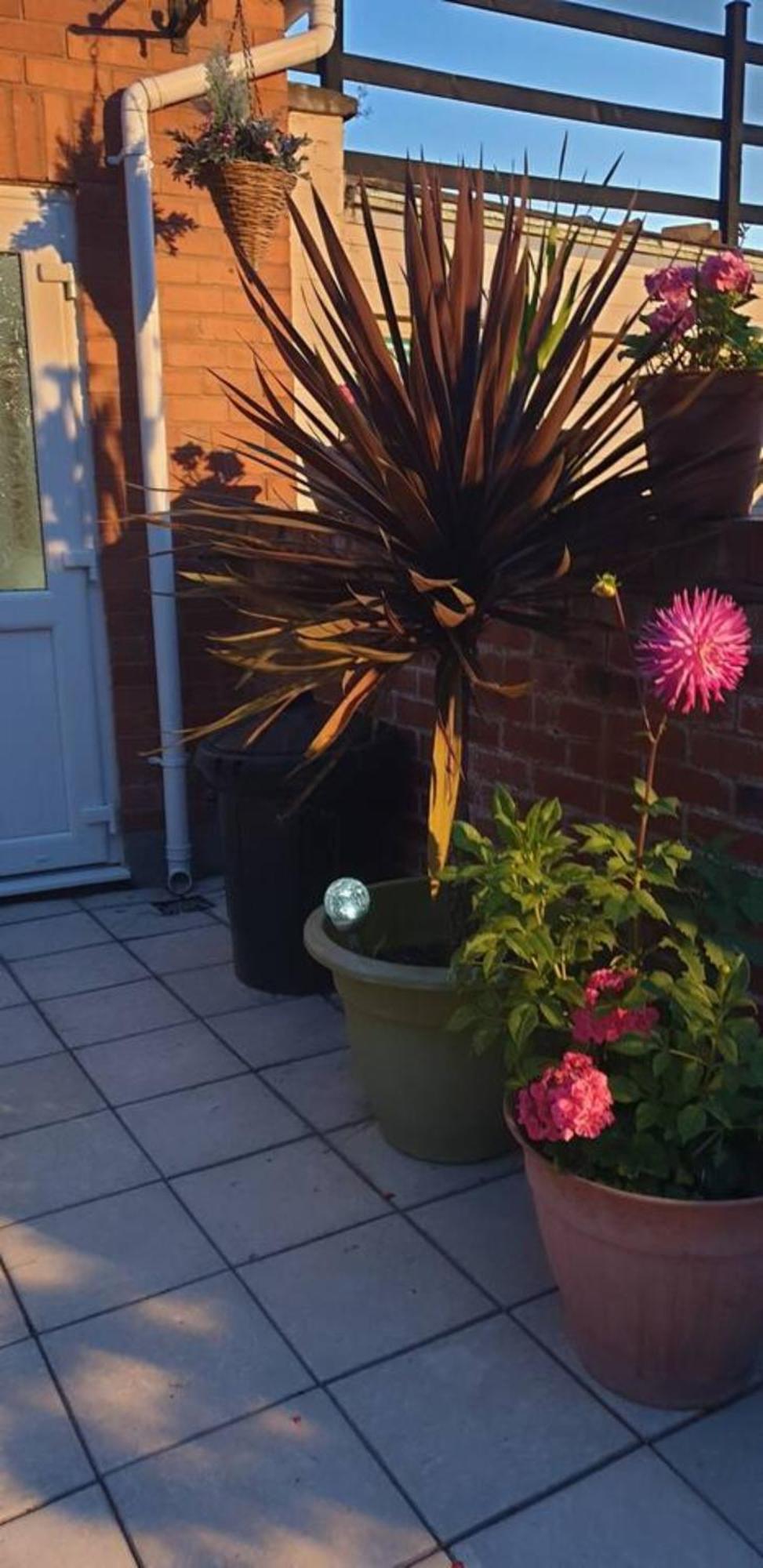Cosy Corner - Town Centre Flat With Free Nearby Parking Lejlighed Shrewsbury Eksteriør billede