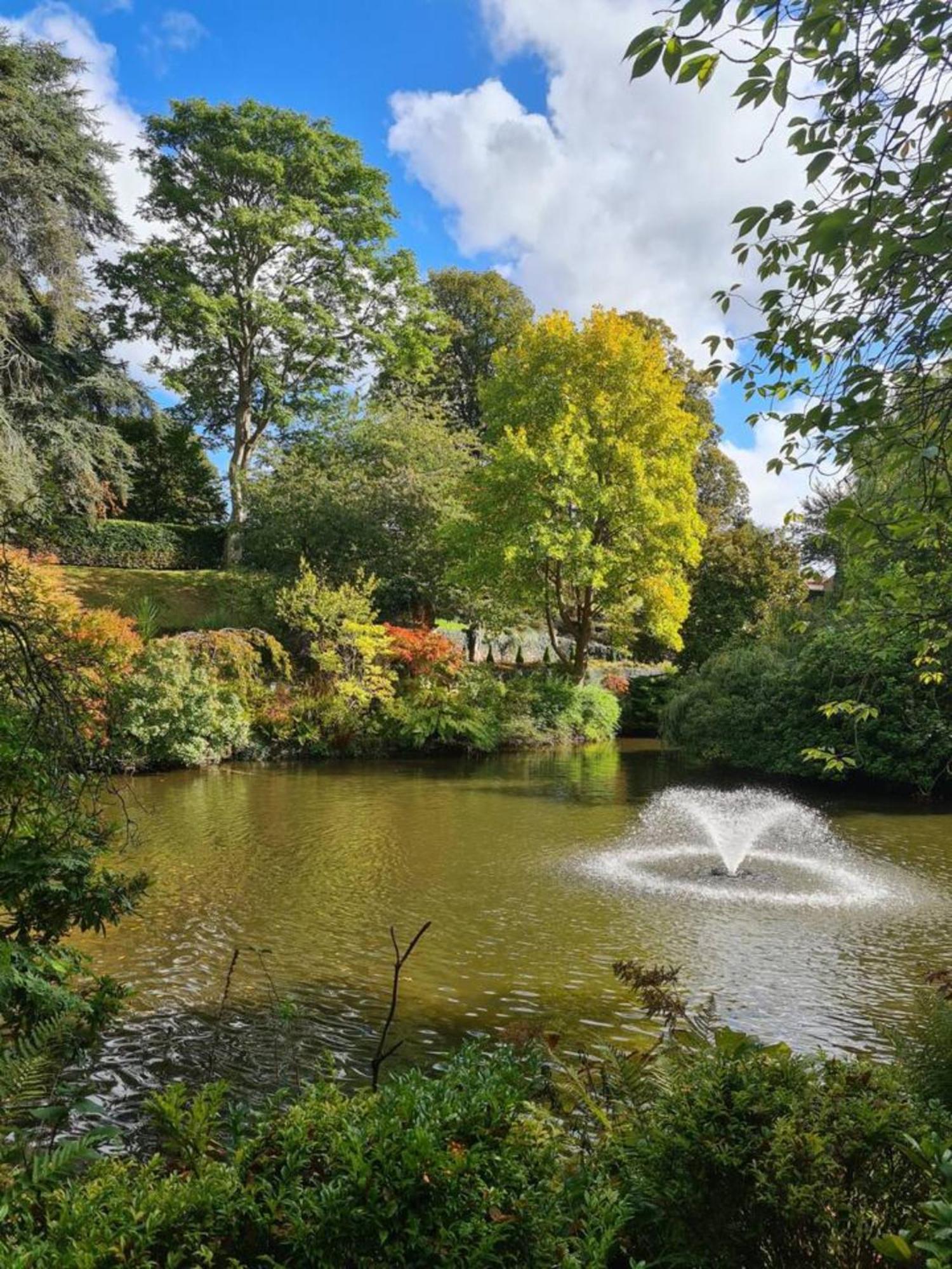 Cosy Corner - Town Centre Flat With Free Nearby Parking Lejlighed Shrewsbury Eksteriør billede